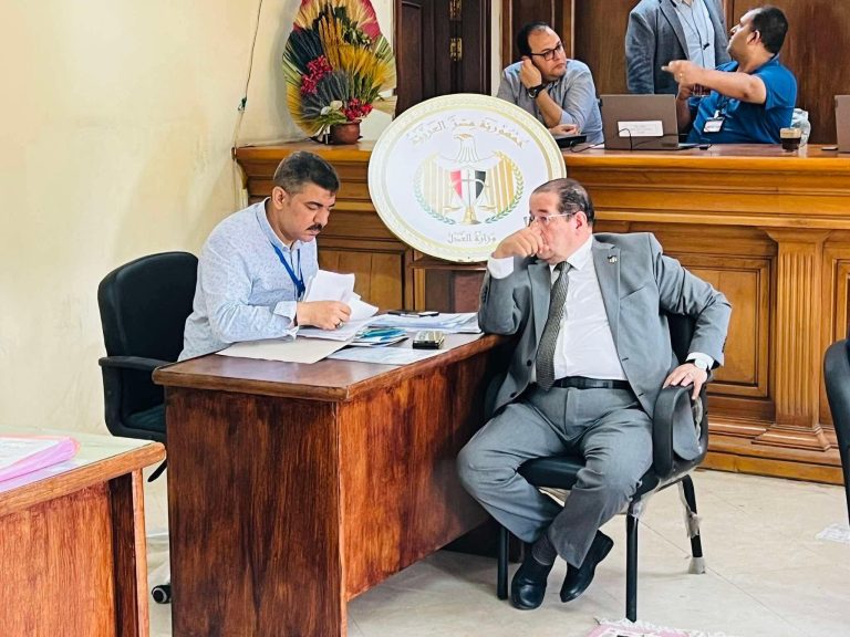 أصبحت على صفيح ساخن..القضاء الإداري بالزقازيق يعيد مرشح الحسينية ويستبعد آخر بأبوحماد في أحدث أحكام الانتخابات بالشرقية