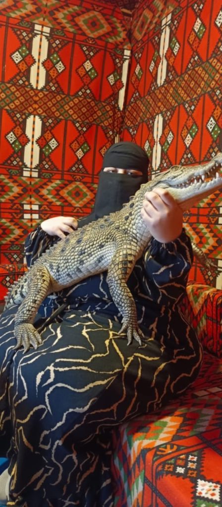 المستشارة «كوكي» تهزم تمساح الشرقية والمرشح عادل عفيفي يؤكد ايمان البدرى بطلة حافظت على أمن الناس قبل أي حملة